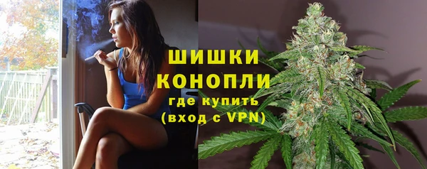 ALPHA-PVP Новозыбков